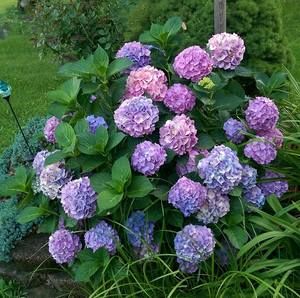 Meet your Posher, Kellie